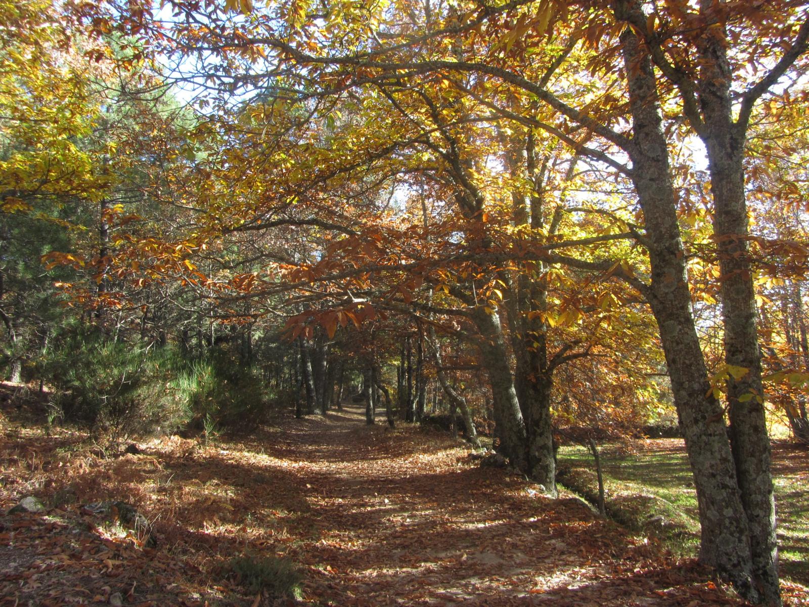 Travesía Valle Encantado