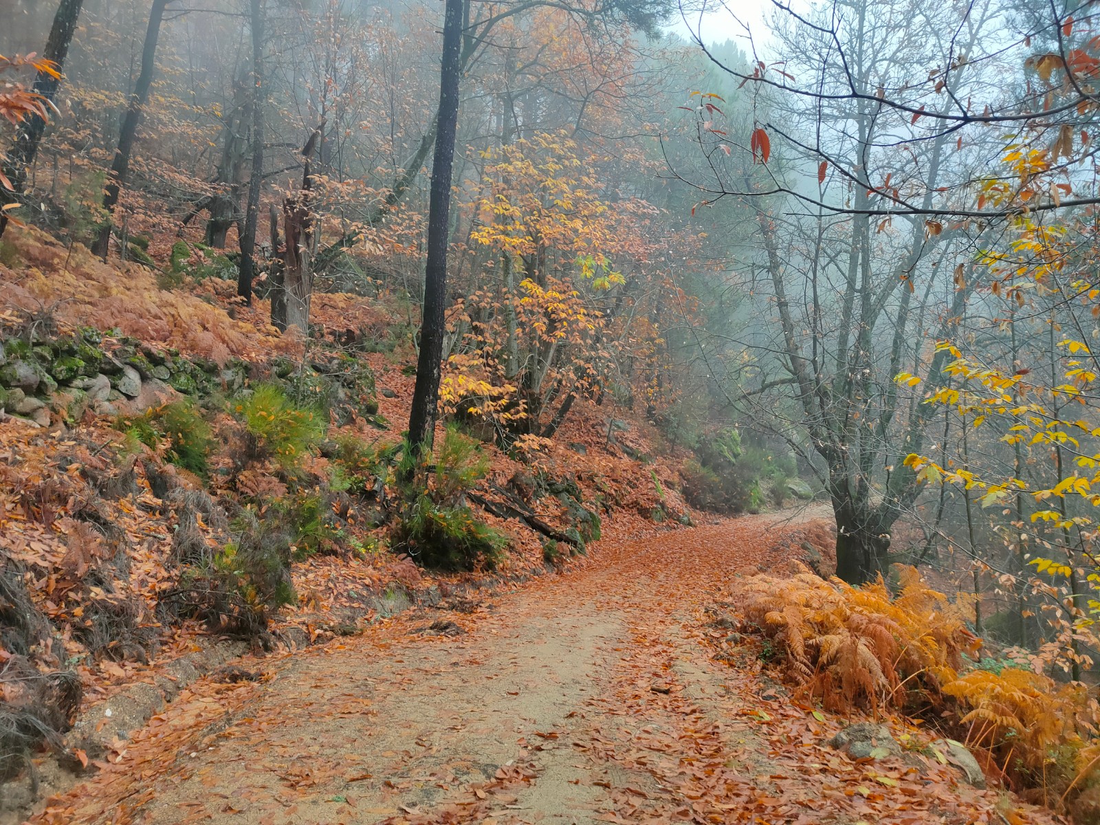 EriderCasillas Weekend